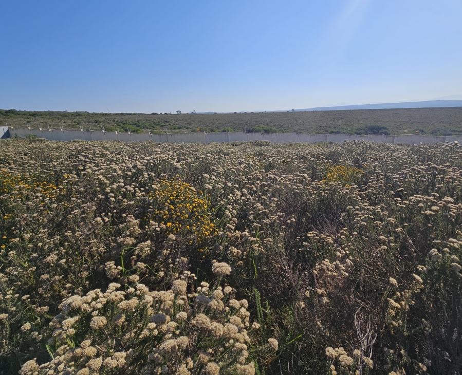 0 Bedroom Property for Sale in Blue Waters Estate Eastern Cape
